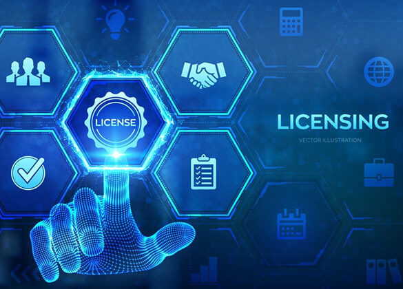 Software License Management